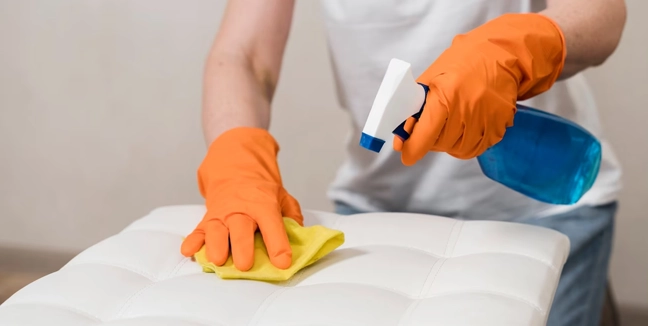 Sofa Cleaning Service